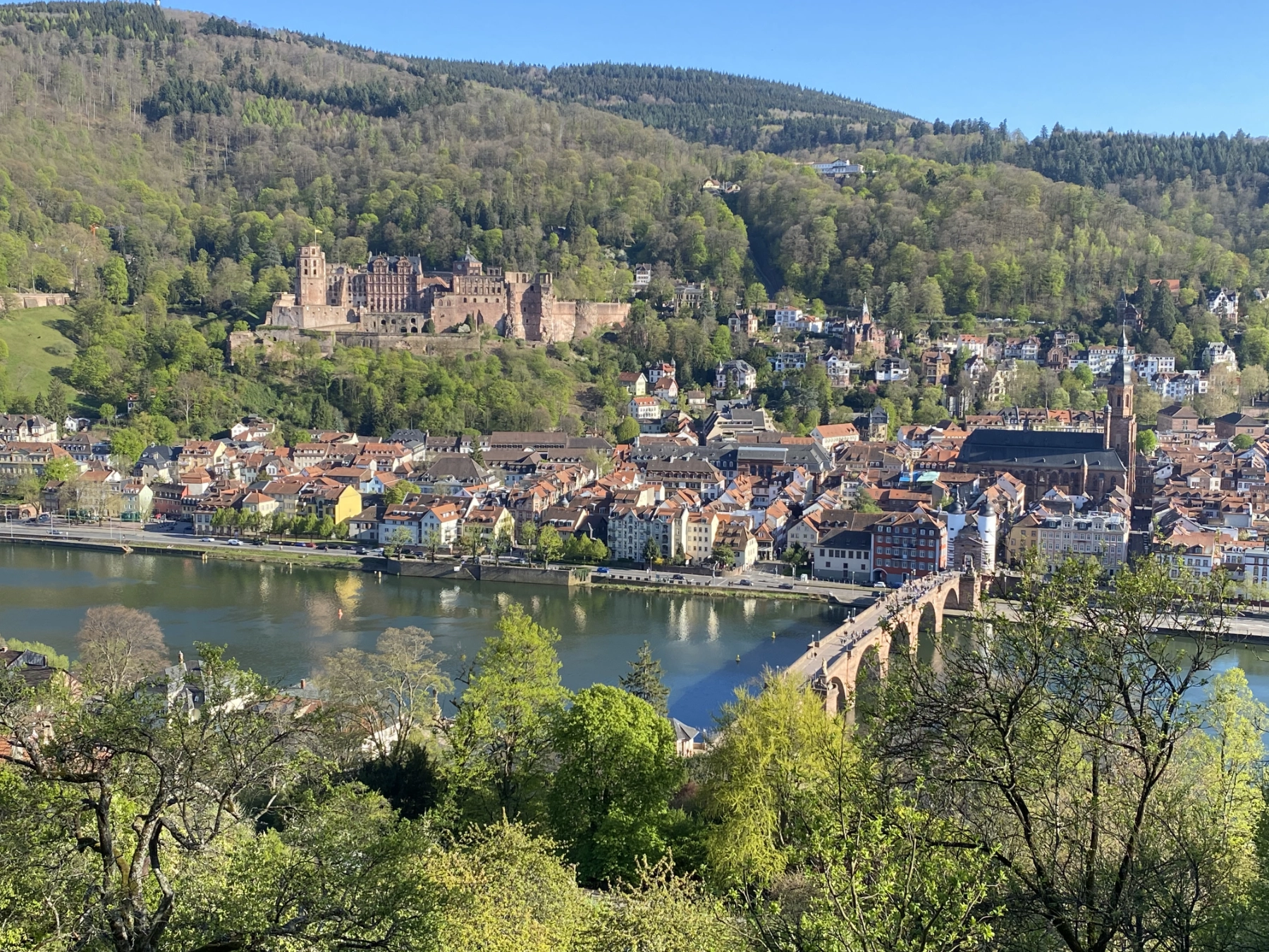 Coaching Termine in Heidelberg