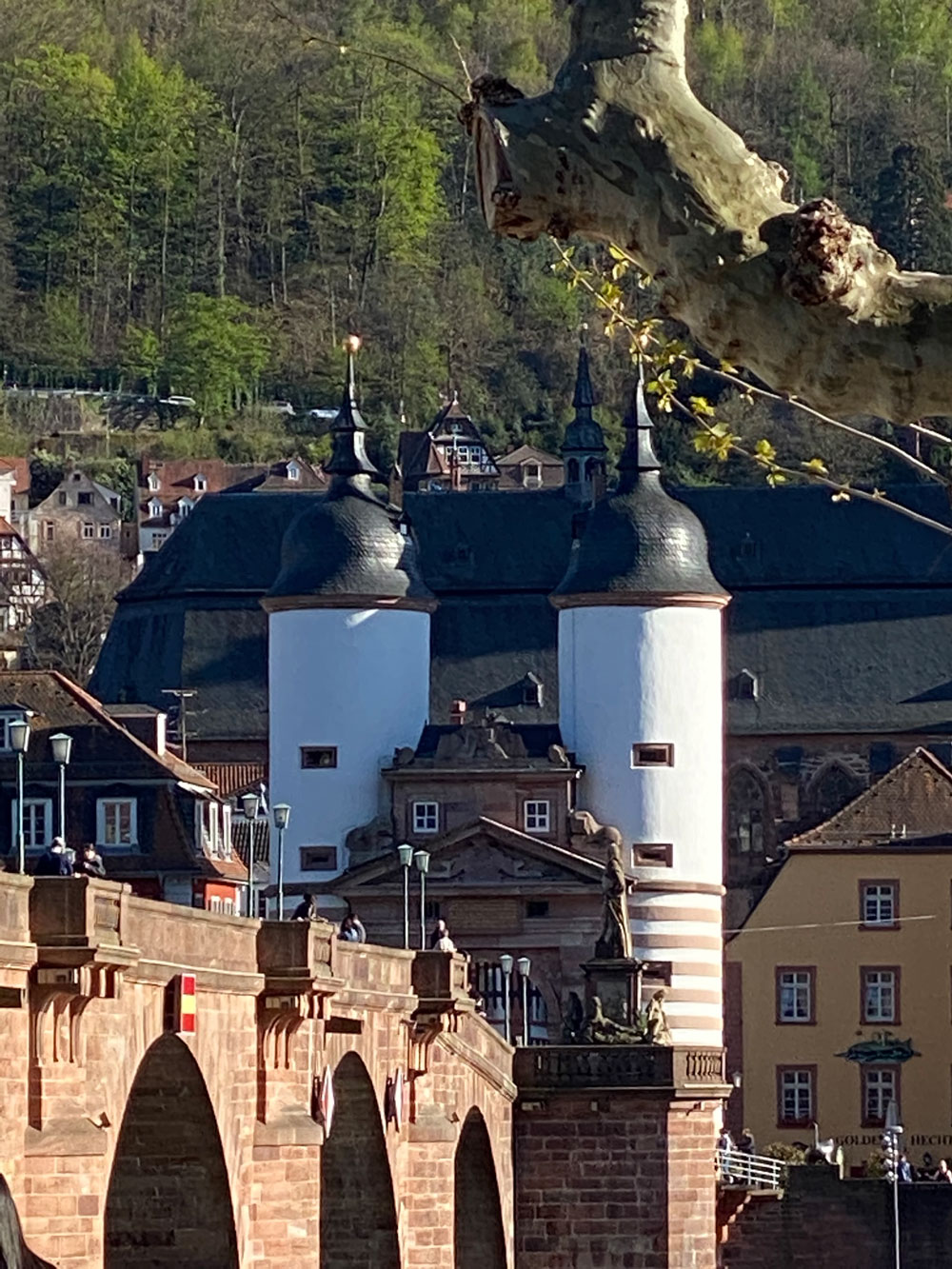 Coaching-Praxis in Heidelberg